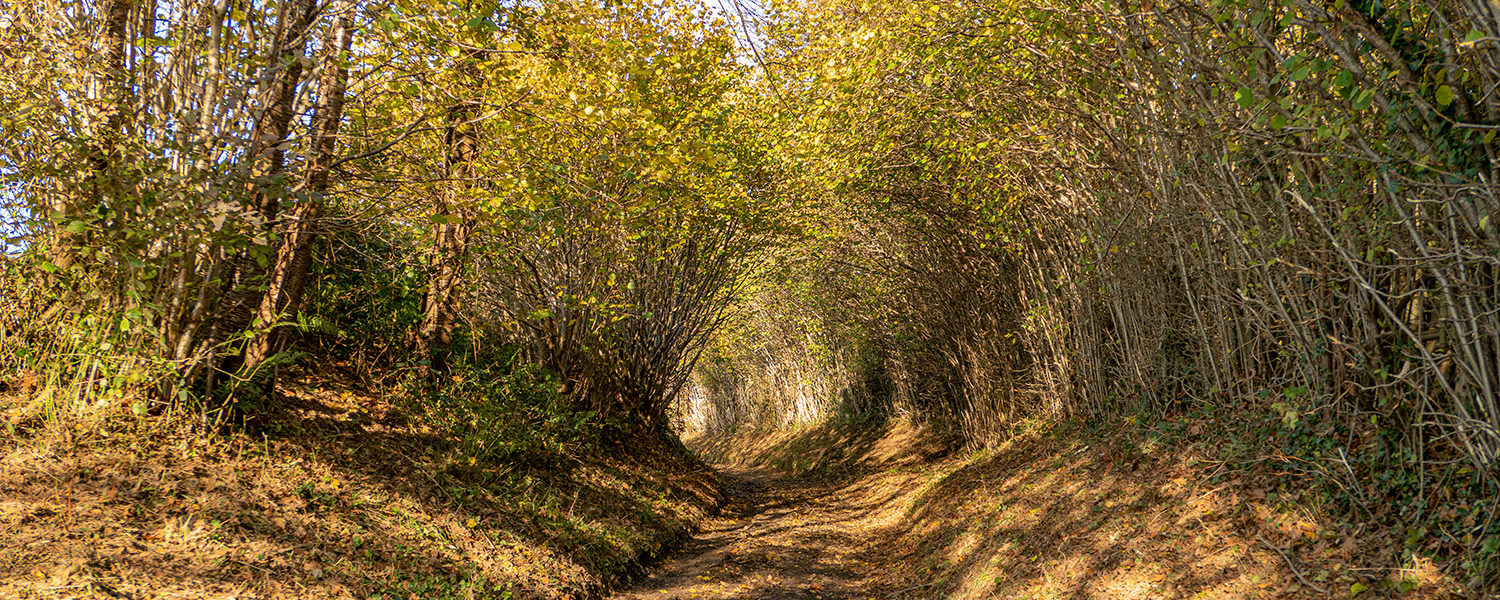 Promenade à Banneux - Wallonie