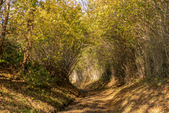 Promenade à Banneux - Wallonie